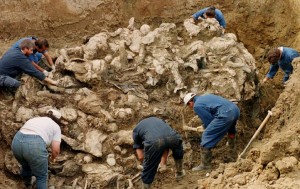 Masacrul de la Srebrenica din Bosnia Herzegovina, 1995
