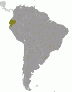 Ecuador_large_locator