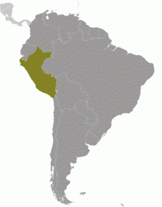 Peru_large_locator