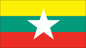 bm-lgflag