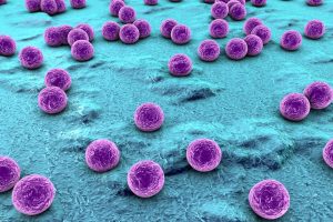 oms bacterii rezistente antibiotice