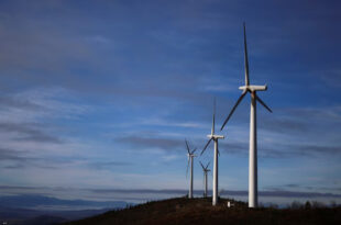 Sursă foto: REUTERS/Pedro Nunes/File Photo